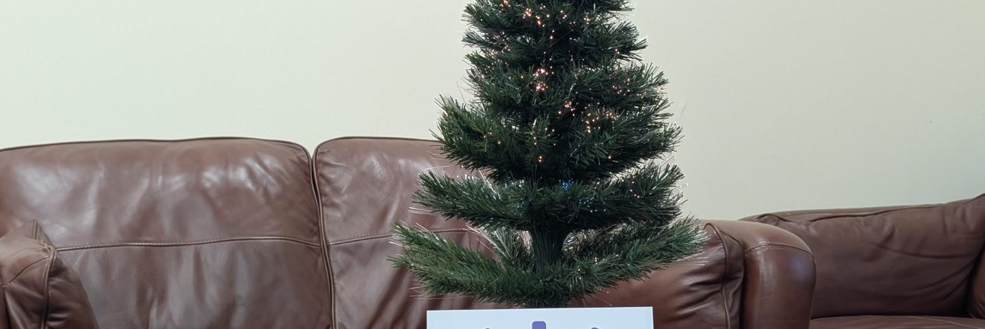 A Christmas Tree with the Eskia Logo in front of it
